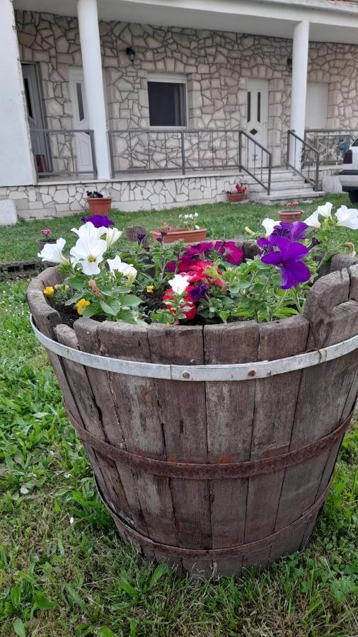 Kamena Kuca Family Rodin Lägenhet Čapljina Exteriör bild